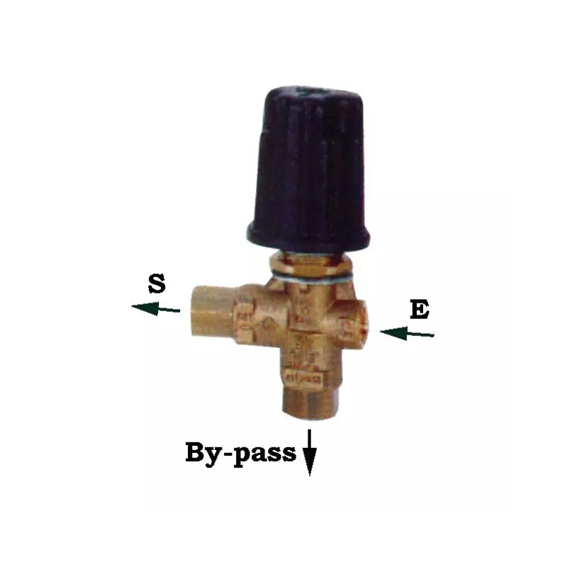 BYPASS TYPE VB9 (K3)MF3/8 30L/MN 250 BARS PA - ref. 32020555 | TP Agri