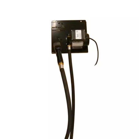 STATION FUEL SEMI PRO 230V 50 L /MIN - ref. REN159170 | TP Agri