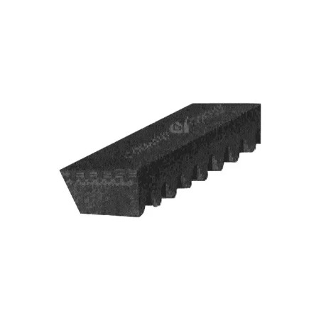 COURROIE TRAPEZOIDALE CRANTEE XPA1307 - 13X10X - ref. 267484 | TP Agri
