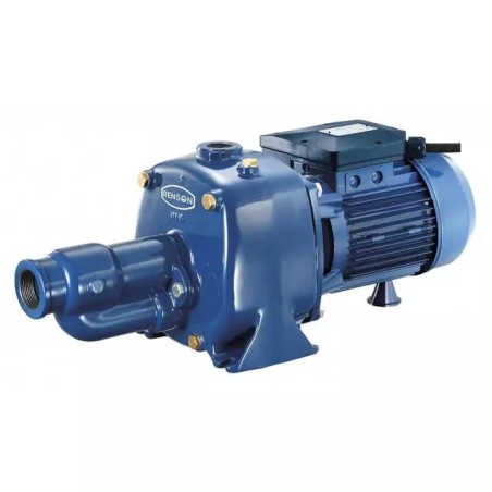 POMPE A EAU DE SURFACE BICELLULAIRE FONTE T - ref. REN825217 | TP Agri