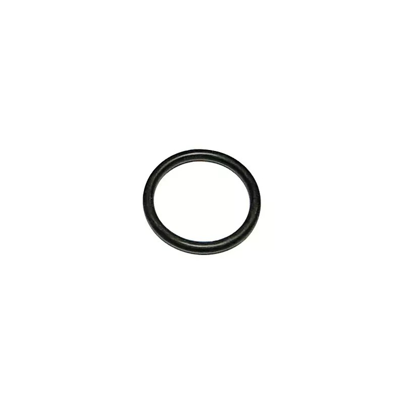 JOINT TORIQUE 20X2.5 MM AVEC BAGUE ANTI EXTR - ref. 31072961 | TP Agri