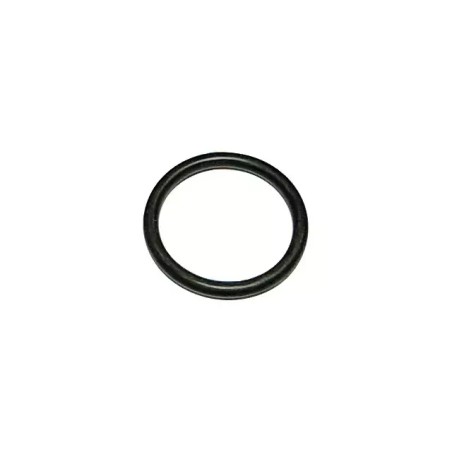 JOINT TORIQUE 20X2.5 MM AVEC BAGUE ANTI EXTR - ref. 31072961 | TP Agri