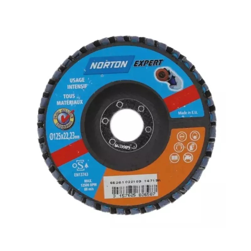 DISQUE A LAMELLES BOMBE 125 MM GRAIN 60 EXPERT - ref. 244231 | TP Agri