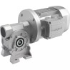 REDUCTEUR VF49 P1 18 P71 B14 B3 - ref. 40519284 | TP Agri