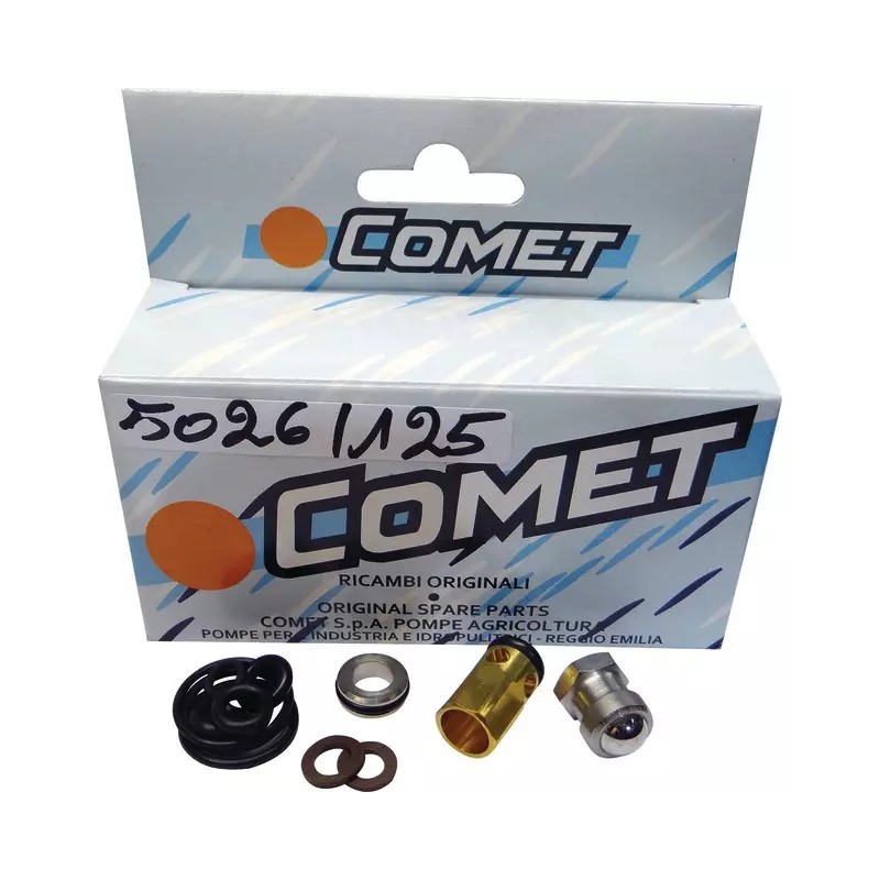 KIT JOINTS BY-PASS K750T FDX12/140-200 COMET - ref. 32009084 | TP Agri
