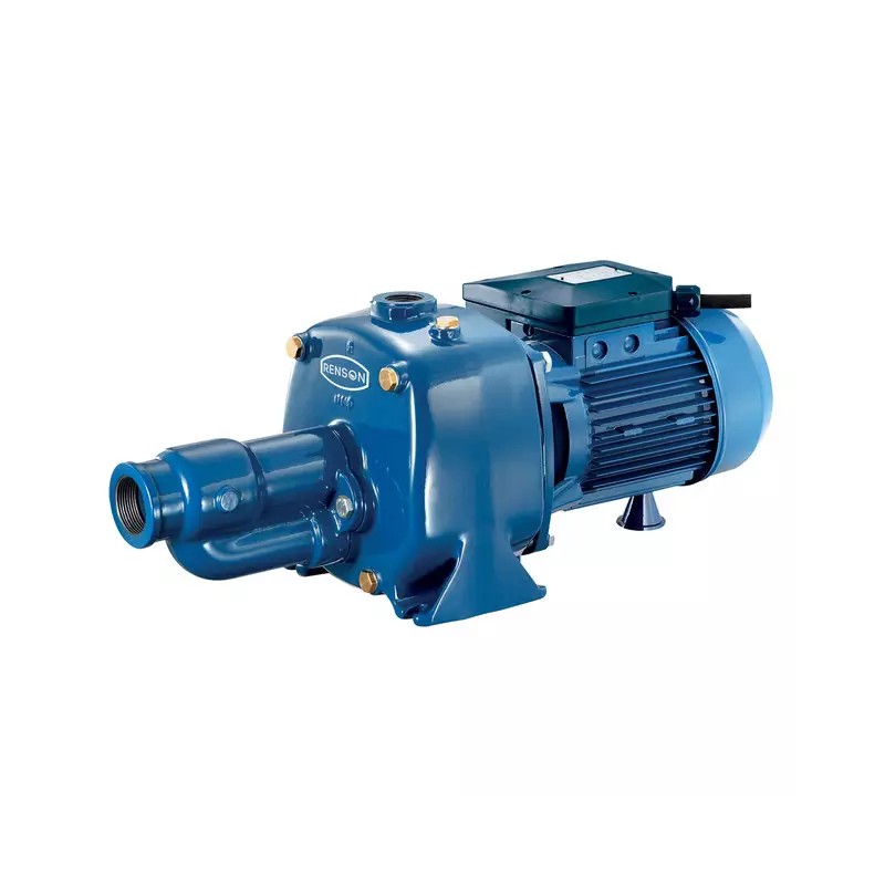 POMPE A EAU DE SURFACE BICELLULAIRE FONTE T - ref. REN825059 | TP Agri