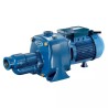 POMPE A EAU DE SURFACE BICELLULAIRE FONTE T - ref. REN825059 | TP Agri