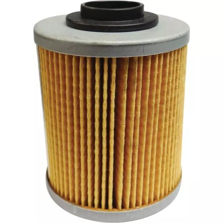 CARTOUCHE DE FILTRE HYD RTF-6 30 MICRONS - ref. 209992 | TP Agri