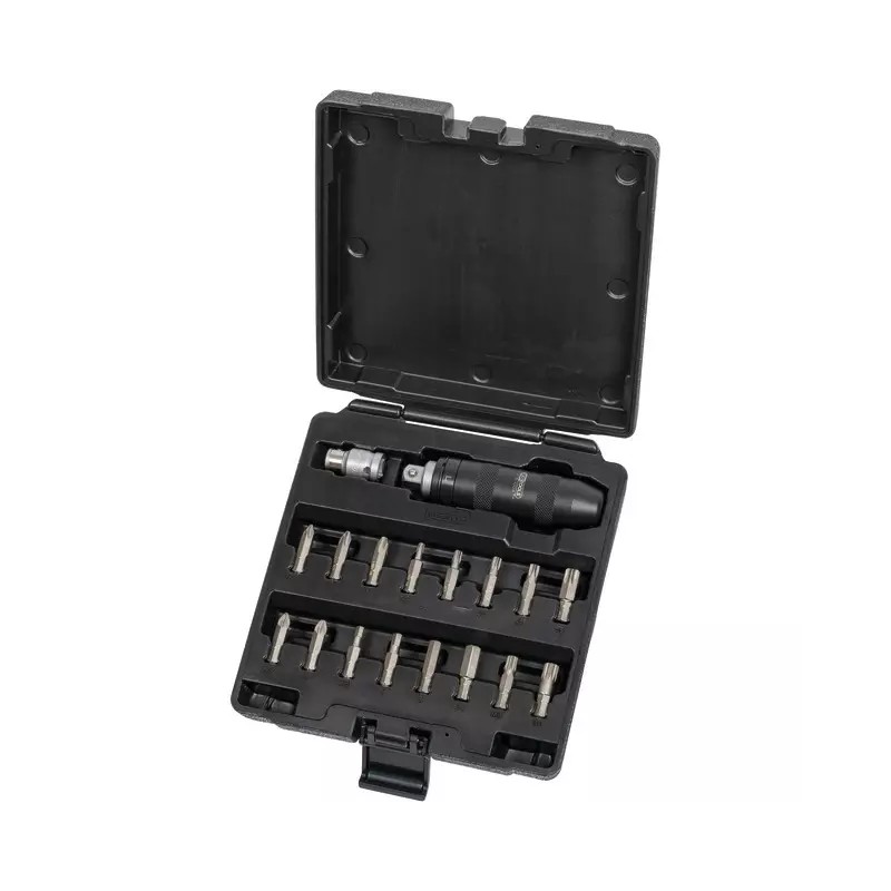 TOURNEVIS A FRAPPER ET EMBOUTS COFFRET DE 1 - ref. KS5152000 | TP Agri