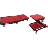 CHARIOT DE VISITE PLIABLE CONVERTIBLE EN TA - ref. KS5008011 | TP Agri