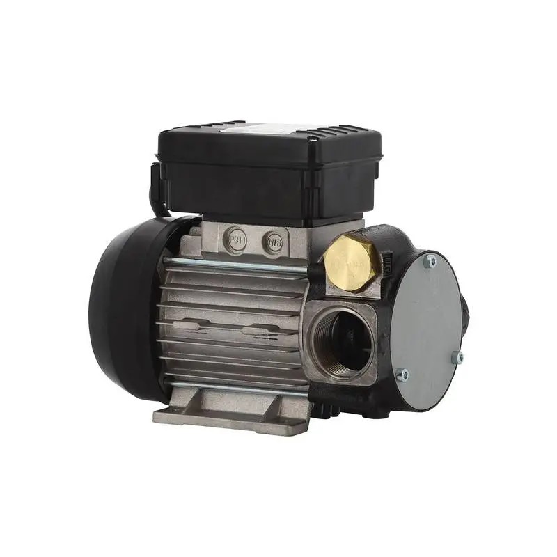POMPE TRANSFERT GASOIL 230V 80L/MIN SEULE R - ref. REN138325 | TP Agri