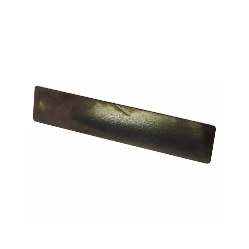 LAMELLE CLAPET POUR WED480 - ref. 1940558 | TP Agri