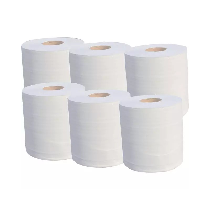 OUATE BLANCHE 900 FORMATS 2 PLIS 19G 180x200M - ref. 1983847 | TP Agri