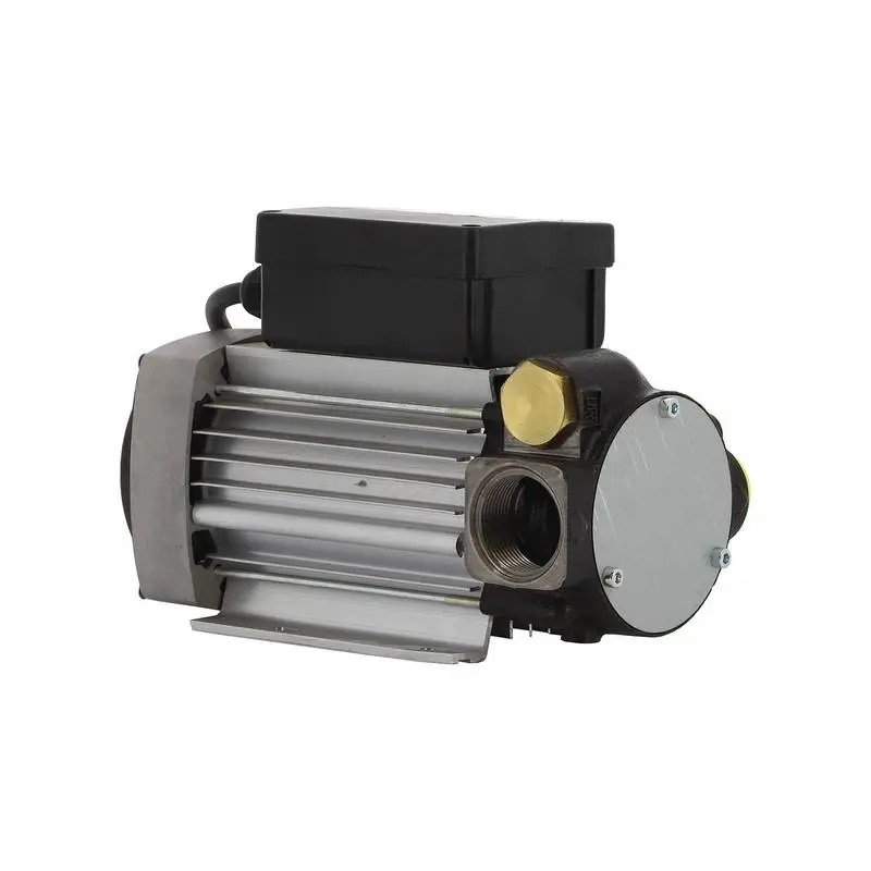 POMPE TRANSFERT GASOIL 230V 100L/MIN SEULE - ref. REN138326 | TP Agri
