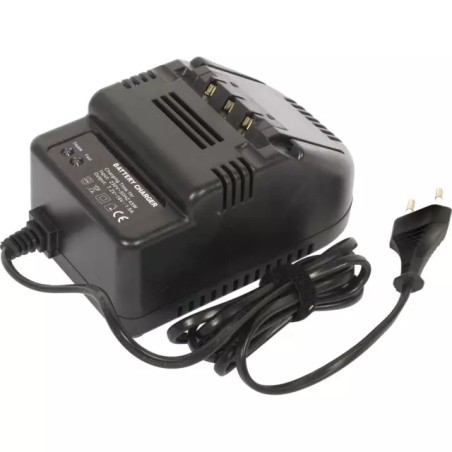 CHARGEUR DE BATTERIE POMPE A GRAISSE ELECTRQUE - ref. 257826 | TP Agri
