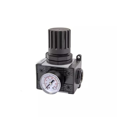 REDUCTEUR DE PRESSION 1/4" SURPRESSEUR A GRAIS - ref. 241795 | TP Agri