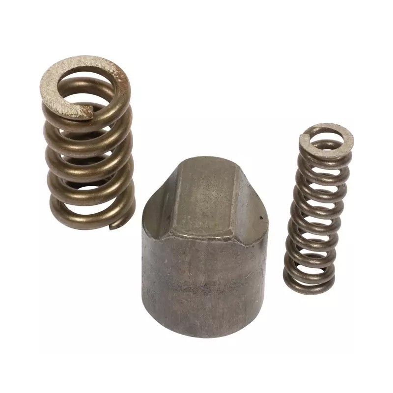CAME AVEC RESSORTS LIMITEUR SA Ø 17 MM - ref. BYP421340001 | TP Agri