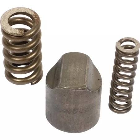CAME AVEC RESSORTS LIMITEUR SA Ø 17 MM - ref. BYP421340001 | TP Agri
