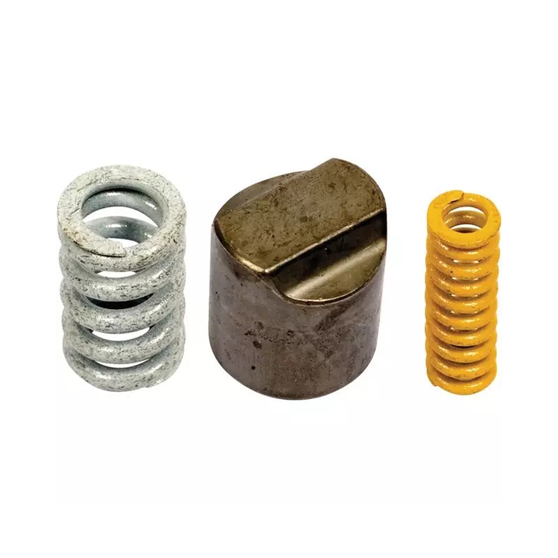 CAME AVEC RESSORTS LIMITEUR LN Ø 17 MM - ref. 248914 | TP Agri