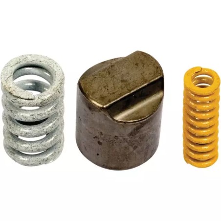 CAME AVEC RESSORTS LIMITEUR LN Ø 17 MM - ref. 248914 | TP Agri