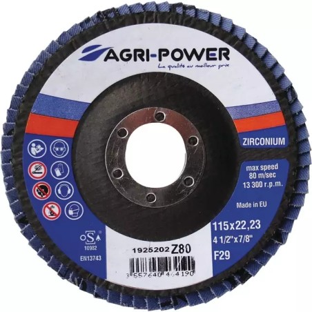 DISQUE A LAMELLES MOYEU DEPORTE 115 MM GRAIN - ref. 1925202 | TP Agri
