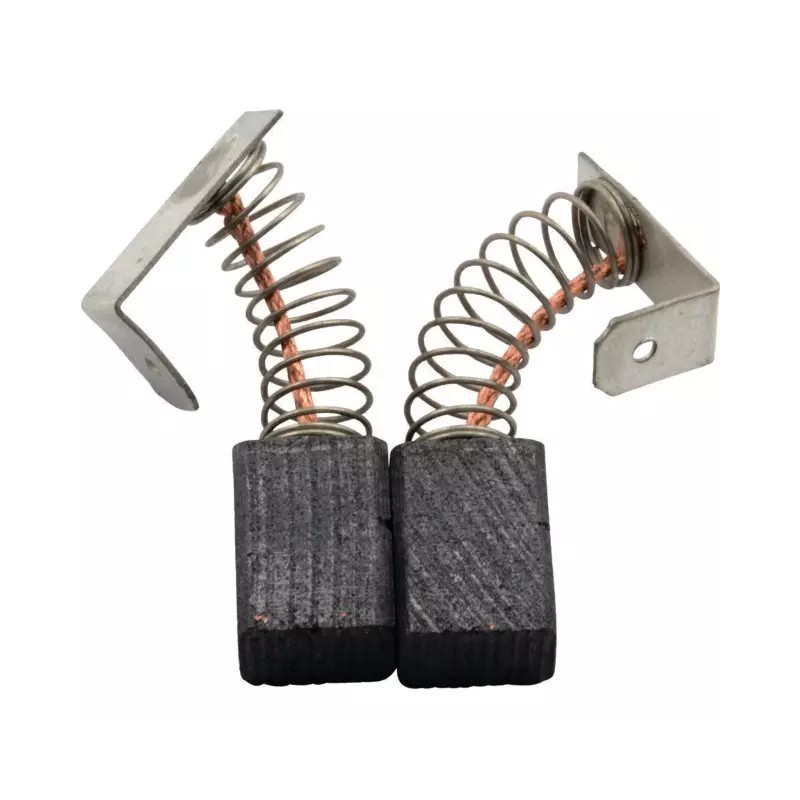 JEU DE CHARBONS RYOBI 6540743 - ref. 1938942 | TP Agri