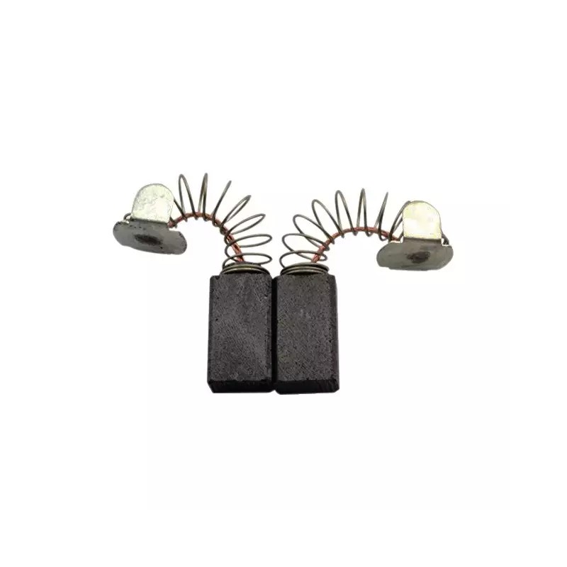 JEU DE CHARBONS RYOBI 6540043 - ref. 1938930 | TP Agri
