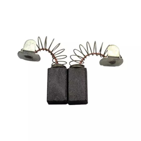 JEU DE CHARBONS RYOBI 6540043 - ref. 1938930 | TP Agri