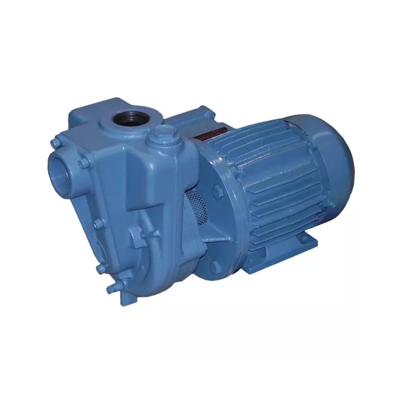 POMPE A EAU ET ENGRAIS LIQUIDE CORPS FONTE AUT - ref. 270183 | TP Agri