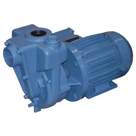 POMPE A EAU ET ENGRAIS LIQUIDE CORPS FONTE AUT - ref. 270183 | TP Agri
