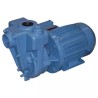 POMPE A EAU ET ENGRAIS LIQUIDE CORPS FONTE AUT - ref. 270183 | TP Agri