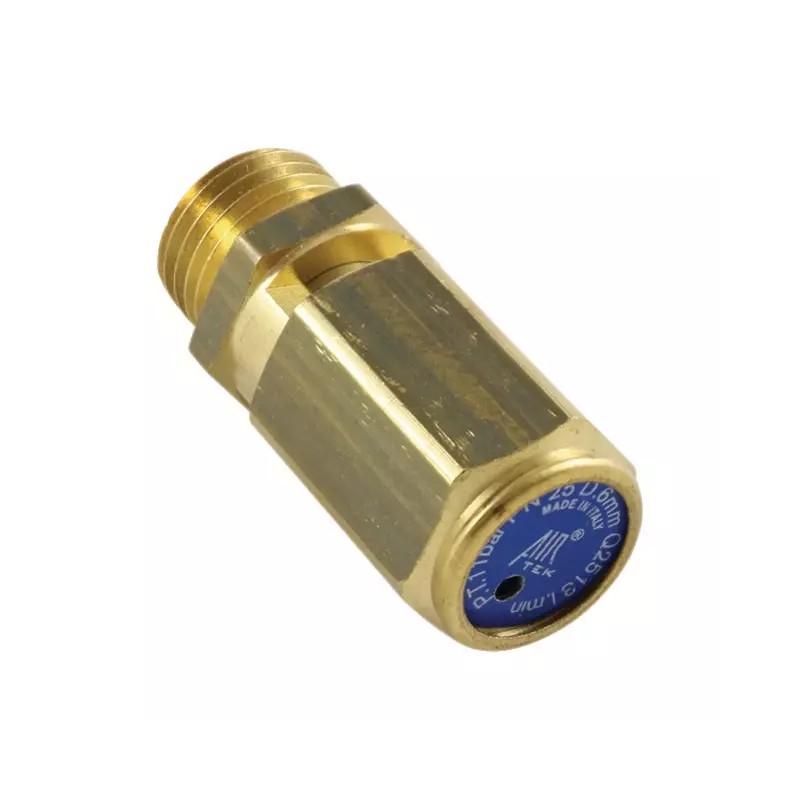 SOUPAPE DE SECURITE 1/4" MALE TAREE 11 BAR PRO - ref. 231524 | TP Agri