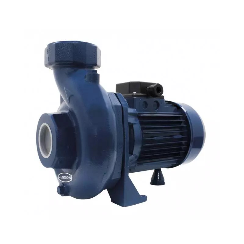 POMPE A EAU DE SURFACE BICELLULAIRE FONTE T - ref. REN110931 | TP Agri