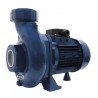 POMPE A EAU DE SURFACE BICELLULAIRE FONTE T - ref. REN110931 | TP Agri