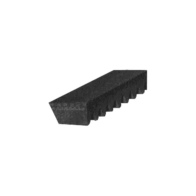 COURROIE TRAPEZOIDALE CRANTEE 9,5X0675 LA - ref. 229057 | TP Agri