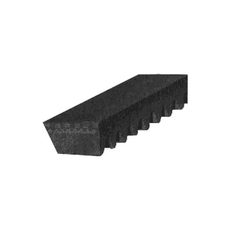 COURROIE TRAPEZOIDALE CRANTEE 9,5X0675 LA - ref. 229057 | TP Agri