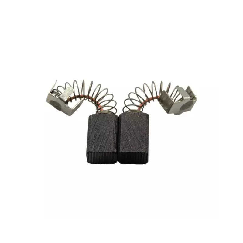 JEU DE CHARBONS RYOBI 6540023 - ref. 1938960 | TP Agri