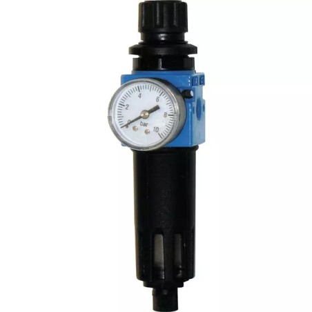 DETENDEUR+FILTRE MANO D50 2600L/MN 0-12B 3/8F - ref. 1940746 | TP Agri