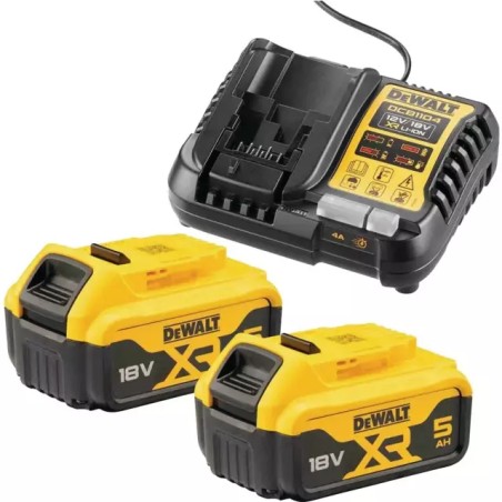 PACK 2 BATTERIES XR 18V 5AH LI-ION + CHARGEUR - ref. 1943201 | TP Agri