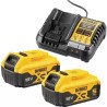 PACK 2 BATTERIES XR 18V 5AH LI-ION + CHARGEUR - ref. 1943201 | TP Agri
