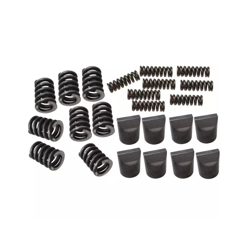 KIT DE 8 CAME ET RESSORTS - ref. 206919 | TP Agri