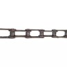 CHAINE SIMPLE PAS LONG A2040 25,40 LE METRE - ref. 30820320 | TP Agri