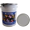 PEINTURE DE FINITION GRIS ARGENT CASE IH SEAU - ref. 1676686 | TP Agri