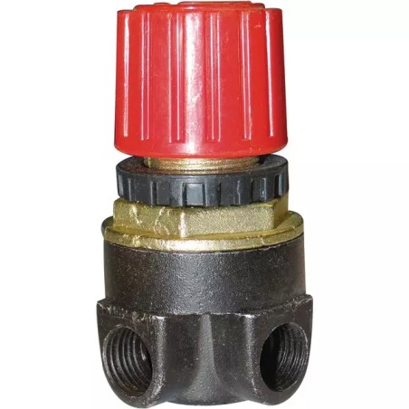 REGULATEUR POUR COMPRESSEUR 50 LITRES TECHNI- - ref. 1940275 | TP Agri