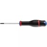 TOURNEVIS PROTWIST POZIDRIV AND LAME RONDE PZ1 - ref. 261656 | TP Agri