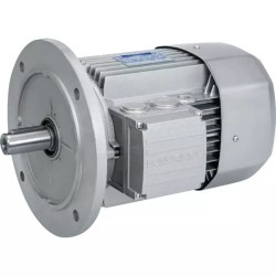 MOTEUR ELECTRIQUE TRIPHASE BX80B4 230/400 V - ref. 40515041 | TP Agri
