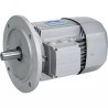 MOTEUR ELECTRIQUE TRIPHASE BX80B4 230/400 V - ref. 40515041 | TP Agri