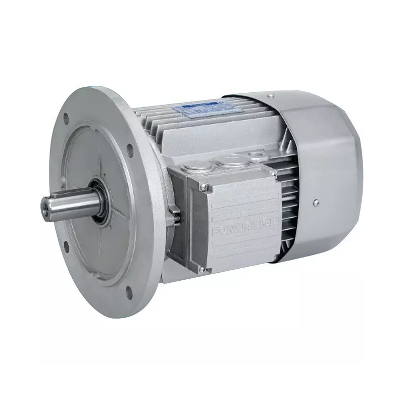 MOTEUR ELECTRIQUE TRIPHASE BX100LB4 230/400 - ref. 40515049 | TP Agri