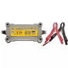 CHARGEUR DE BATTERIE GYSFLASH 8.12 V GYS - ref. 31368053 | TP Agri