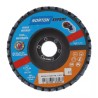 DISQUE A LAMELLES BOMBE 125 MM GRAIN 40 EXPERT - ref. 244230 | TP Agri